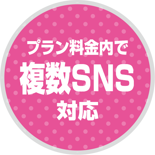 プラン料金内で複数SNS対応